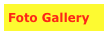 Foto Gallery